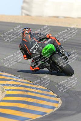 media/Feb-04-2023-SoCal Trackdays (Sat) [[8a776bf2c3]]/Turn 10 Backside (1010am)/